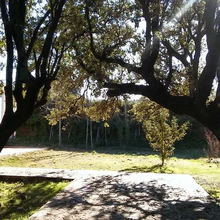 Las Encinas 펜션 Los Ángeles de San Rafael